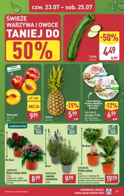 Aldi - gazetka promocyjna Pełny katalog! od poniedziałku 20.07 do soboty 25.07 - strona 35