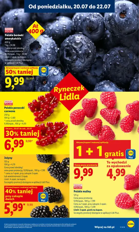 Lidl - gazetka promocyjna Oferta od poniedziałku od poniedziałku 20.07 do środy 22.07 - strona 49