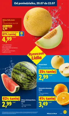 Lidl - gazetka promocyjna Oferta od poniedziałku od poniedziałku 20.07 do środy 22.07 - strona 47