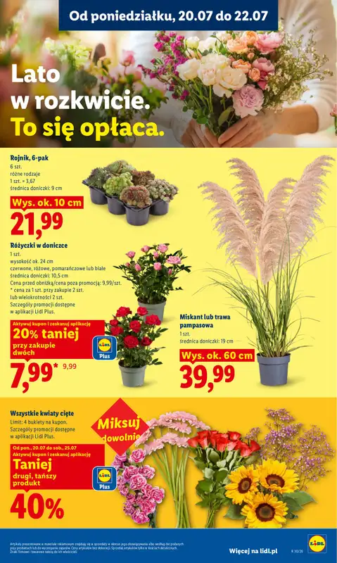 Lidl - gazetka promocyjna Oferta od poniedziałku od poniedziałku 20.07 do środy 22.07 - strona 99