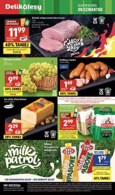 Delikatesy Centrum - gazetka promocyjna Gazetka  do środy 29.07