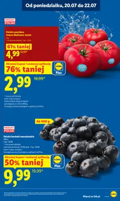 Lidl - gazetka promocyjna Oferta od poniedziałku od poniedziałku 20.07 do środy 22.07 - strona 13