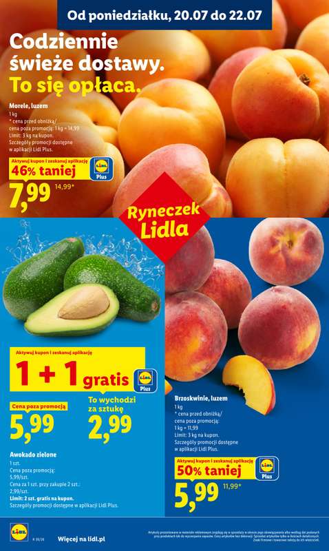 Lidl - gazetka promocyjna Oferta od poniedziałku od poniedziałku 20.07 do środy 22.07 - strona 48