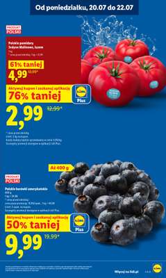 Lidl - gazetka promocyjna Oferta od poniedziałku od poniedziałku 20.07 do środy 22.07 - strona 13
