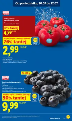Lidl - gazetka promocyjna Oferta od poniedziałku od poniedziałku 20.07 do środy 22.07 - strona 13