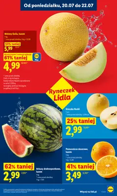 Lidl - gazetka promocyjna Oferta od poniedziałku od poniedziałku 20.07 do środy 22.07 - strona 47