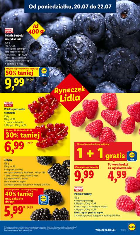 Lidl - gazetka promocyjna Oferta od poniedziałku od poniedziałku 20.07 do środy 22.07 - strona 49