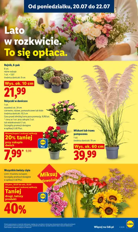 Lidl - gazetka promocyjna Oferta od poniedziałku od poniedziałku 20.07 do środy 22.07 - strona 99