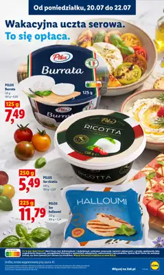 Lidl - gazetka promocyjna Oferta od poniedziałku od poniedziałku 20.07 do środy 22.07 - strona 59
