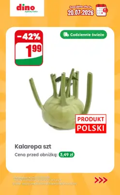 Dino - gazetka promocyjna Specjalna oferta na 20.07.2026 - promocje spoza gazetki od poniedziałku 20.07 do poniedziałku 20.07 - strona 2