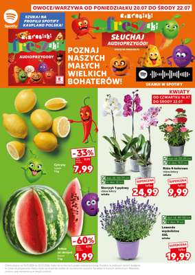 Kaufland - gazetka promocyjna Gazetka Tygodnia od czwartku 16.07 do środy 22.07 - strona 5