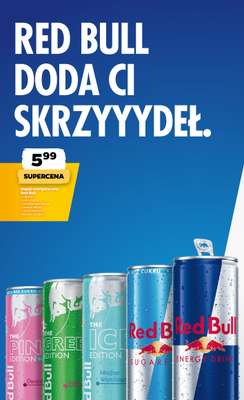 Netto - gazetka promocyjna Gazetka Spożywcza od czwartku 23.07 do soboty 25.07 - strona 17