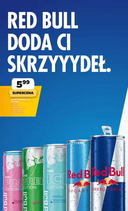 Netto - gazetka promocyjna Gazetka Spożywcza od czwartku 23.07 do soboty 25.07 - strona 17
