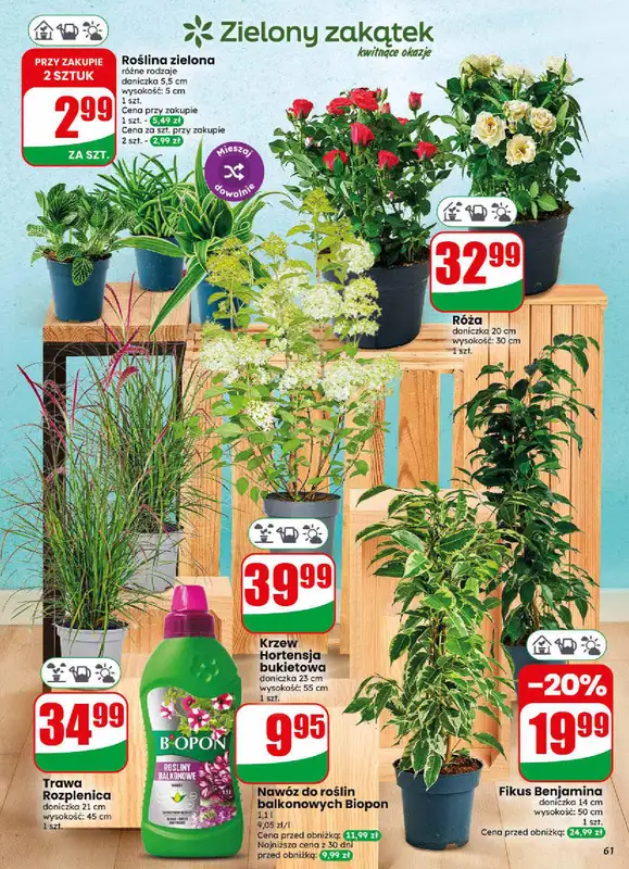 Dino - gazetka promocyjna Gazetka 30 / 2026 od środy 22.07 do wtorku 28.07 - strona 61