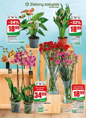 Dino - gazetka promocyjna Gazetka 30 / 2026 od środy 22.07 do wtorku 28.07 - strona 60