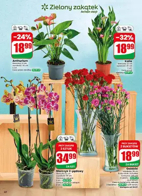 Dino - gazetka promocyjna Gazetka 30 / 2026 od środy 22.07 do wtorku 28.07 - strona 60