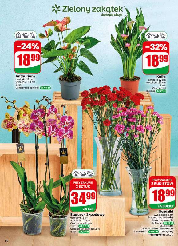 Dino - gazetka promocyjna Gazetka 30 / 2026 od środy 22.07 do wtorku 28.07 - strona 60