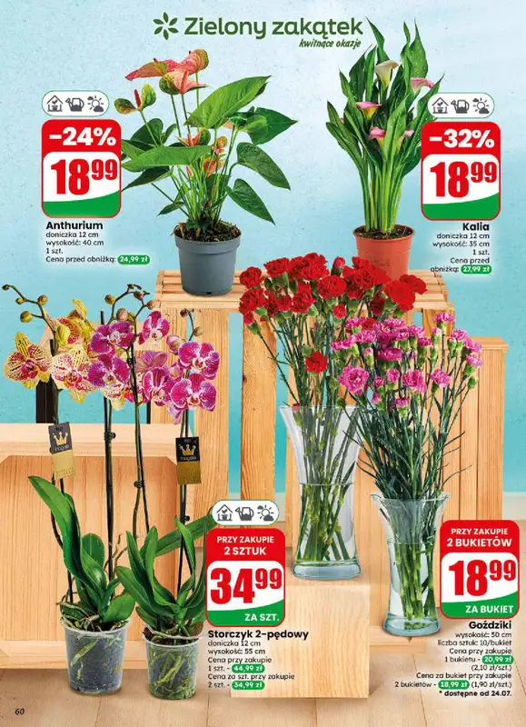Dino - gazetka promocyjna Gazetka 30 / 2026 od środy 22.07 do wtorku 28.07 - strona 60
