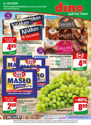 Dino - gazetka promocyjna Gazetka 30 / 2026 od środy 22.07 do wtorku 28.07
