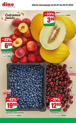 Dino - gazetka promocyjna MEGA promocje! od środy 22.07 do wtorku 28.07 - strona 9