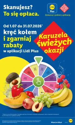 Lidl - gazetka promocyjna Oferta od czwartku od czwartku 23.07 do soboty 25.07 - strona 49