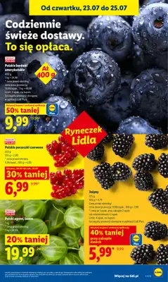 Lidl - gazetka promocyjna Oferta od czwartku od czwartku 23.07 do soboty 25.07 - strona 51