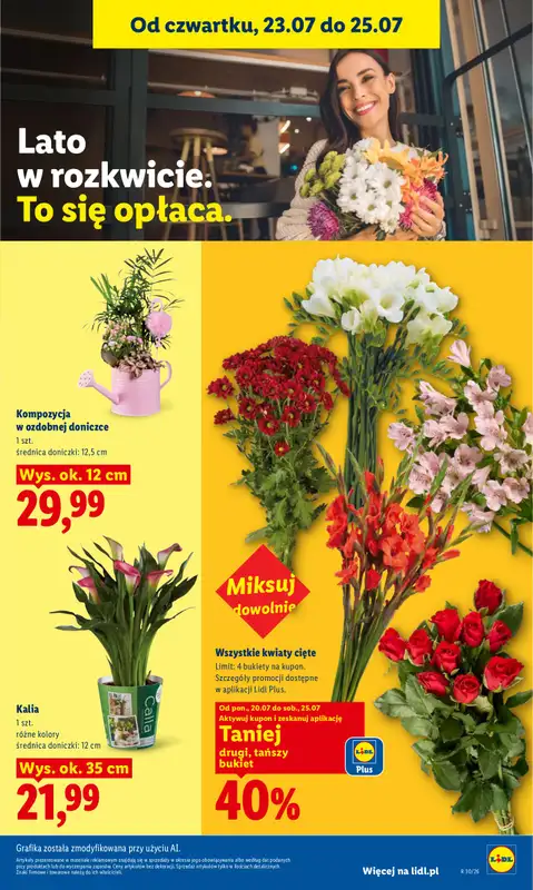 Lidl - gazetka promocyjna Oferta od czwartku od czwartku 23.07 do soboty 25.07 - strona 97