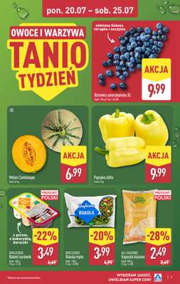 Aldi - gazetka promocyjna Pełny katalog! od poniedziałku 20.07 do soboty 25.07 - strona 7