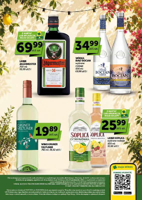 Groszek - gazetka promocyjna Gazetka alkoholowa  do środy 05.08 - strona 2