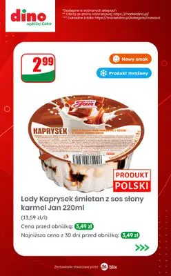 Dino - gazetka promocyjna Nowości w Dino! od środy 22.07  - strona 7