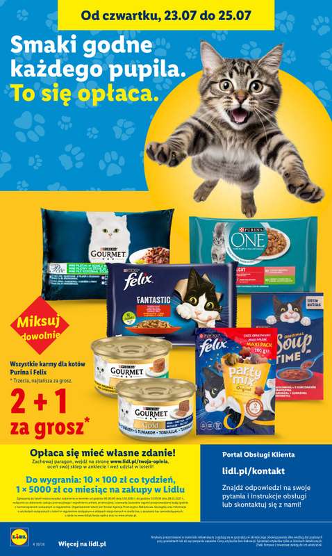 Lidl - gazetka promocyjna Oferta od czwartku od czwartku 23.07 do soboty 25.07 - strona 98