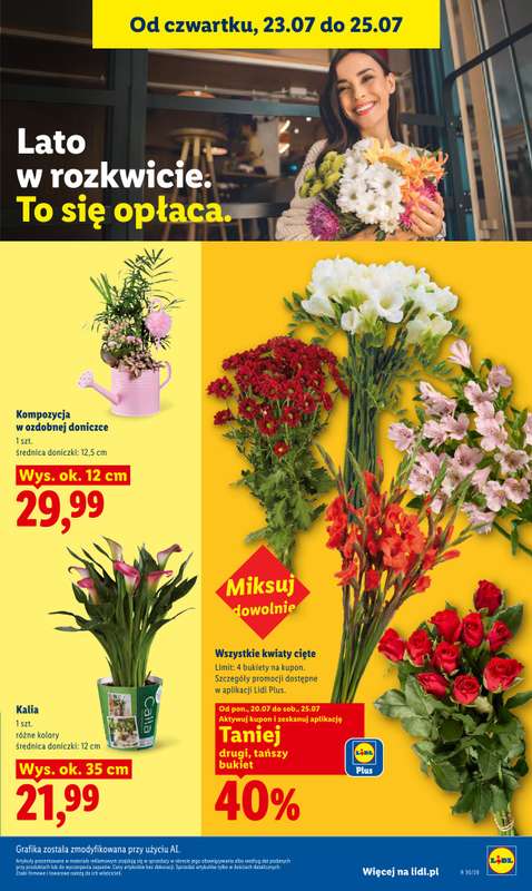 Lidl - gazetka promocyjna Oferta od czwartku od czwartku 23.07 do soboty 25.07 - strona 99