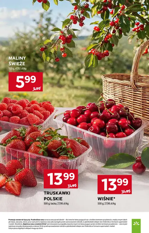 Stokrotka - gazetka promocyjna Gazetka Supermarket od czwartku 23.07 do środy 29.07 - strona 17