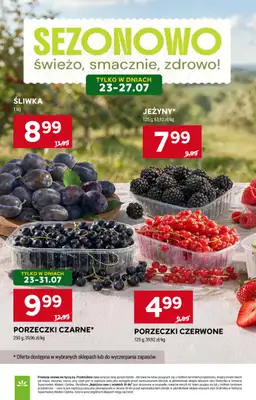 Stokrotka - gazetka promocyjna Gazetka Market od czwartku 23.07 do środy 29.07 - strona 16