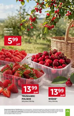 Stokrotka - gazetka promocyjna Gazetka Market od czwartku 23.07 do środy 29.07 - strona 17