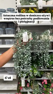 Pepco - gazetka promocyjna Zakupowe Inspiracje w Pepco od czwartku 23.07 do niedzieli 26.07 - strona 7