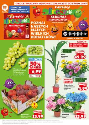 Kaufland - gazetka promocyjna Mocny Start od poniedziałku 27.07 do środy 29.07 - strona 3