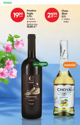 Żabka - gazetka promocyjna Katalog win od czwartku 23.07 do wtorku 04.08 - strona 10