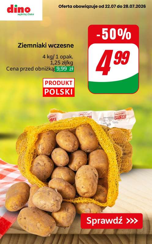 Dino - gazetka promocyjna Nawet do -50% taniej od piątku 24.07 do wtorku 28.07 - strona 6