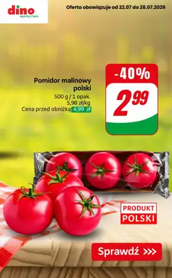Dino - gazetka promocyjna Nawet do -50% taniej od piątku 24.07 do wtorku 28.07 - strona 5