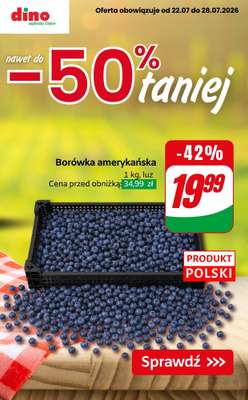 Dino - gazetka promocyjna Nawet do -50% taniej od piątku 24.07 do wtorku 28.07