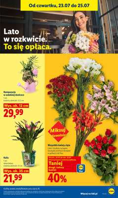 Lidl - gazetka promocyjna Oferta od czwartku od czwartku 23.07 do soboty 25.07 - strona 99