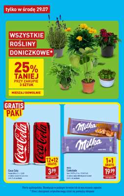Aldi - gazetka promocyjna Pełny katalog! od poniedziałku 27.07 do soboty 01.08 - strona 23