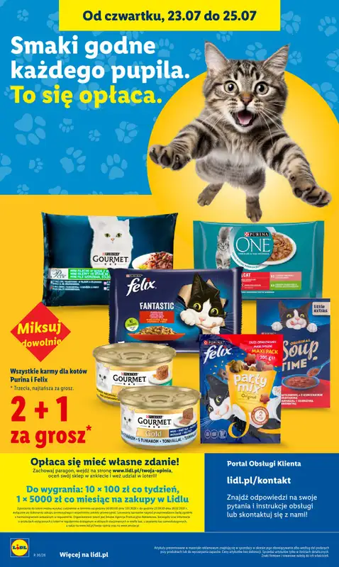 Lidl - gazetka promocyjna Oferta od czwartku od czwartku 23.07 do soboty 25.07 - strona 98