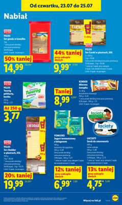 Lidl - gazetka promocyjna Oferta od czwartku od czwartku 23.07 do soboty 25.07 - strona 71