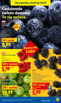 Lidl - gazetka promocyjna Oferta od czwartku od czwartku 23.07 do soboty 25.07 - strona 53