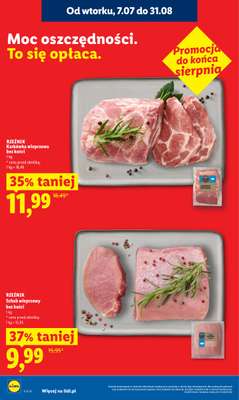 Lidl - gazetka promocyjna Oferta od poniedziałku od poniedziałku 27.07 do środy 29.07 - strona 16