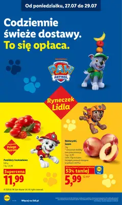 Lidl - gazetka promocyjna Oferta od poniedziałku od poniedziałku 27.07 do środy 29.07 - strona 46