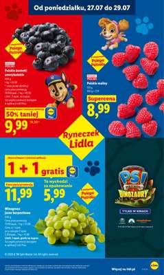 Lidl - gazetka promocyjna Oferta od poniedziałku od poniedziałku 27.07 do środy 29.07 - strona 47