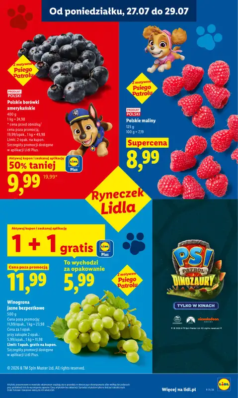 Lidl - gazetka promocyjna Oferta od poniedziałku od poniedziałku 27.07 do środy 29.07 - strona 47